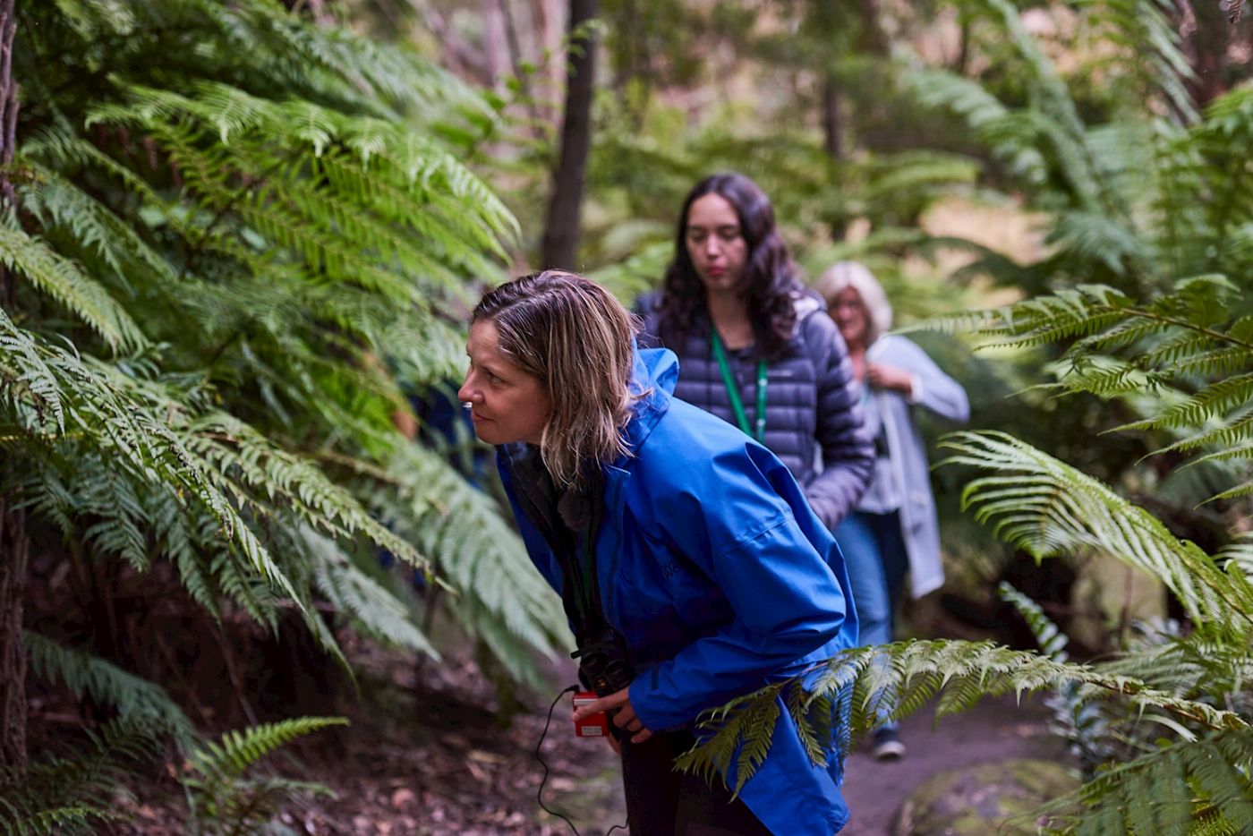 Wildlife Wonders Dusk Discovery Tour
