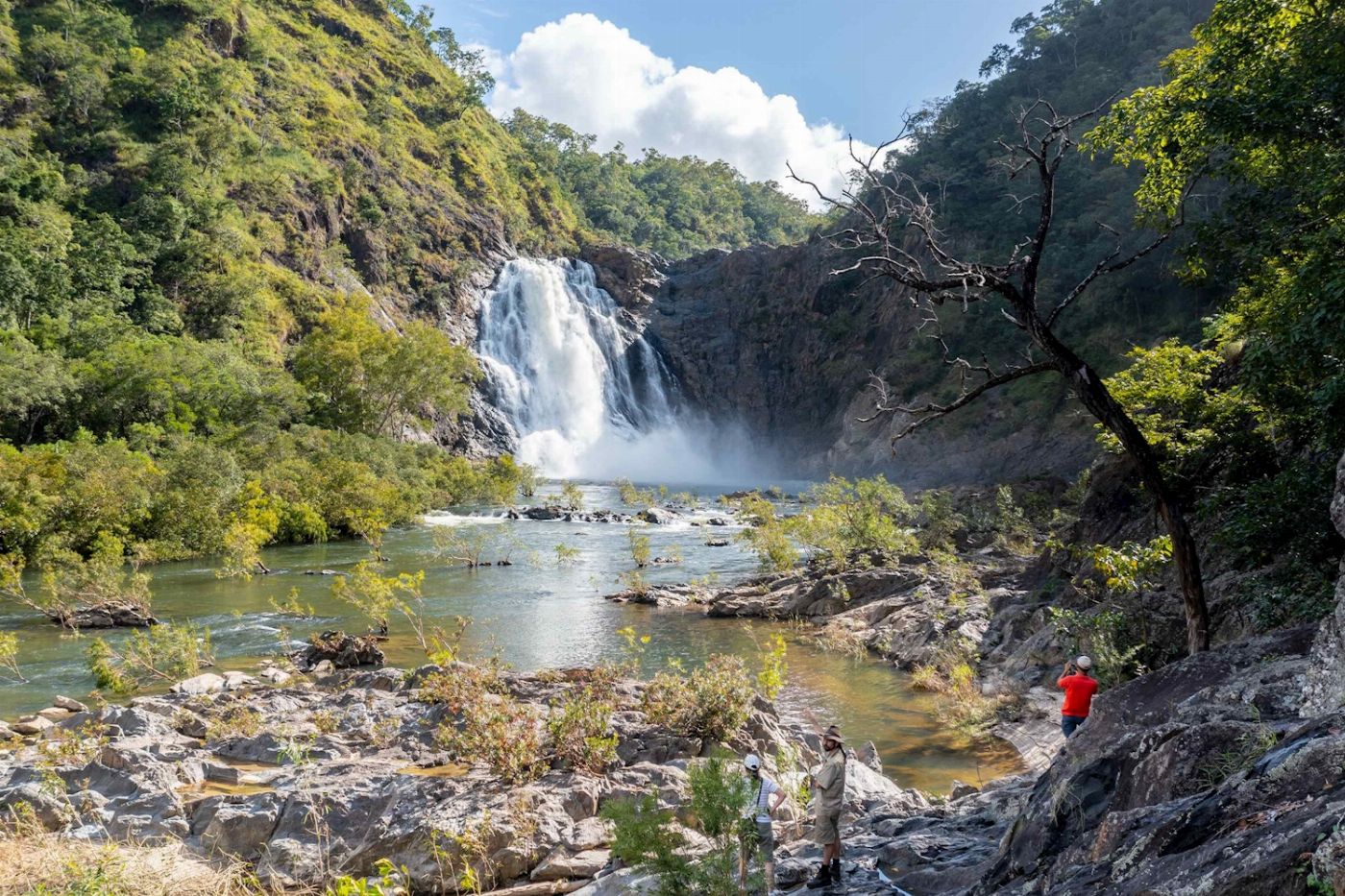 Far North Escapes 1 Day Cooktown & Daintree Tour