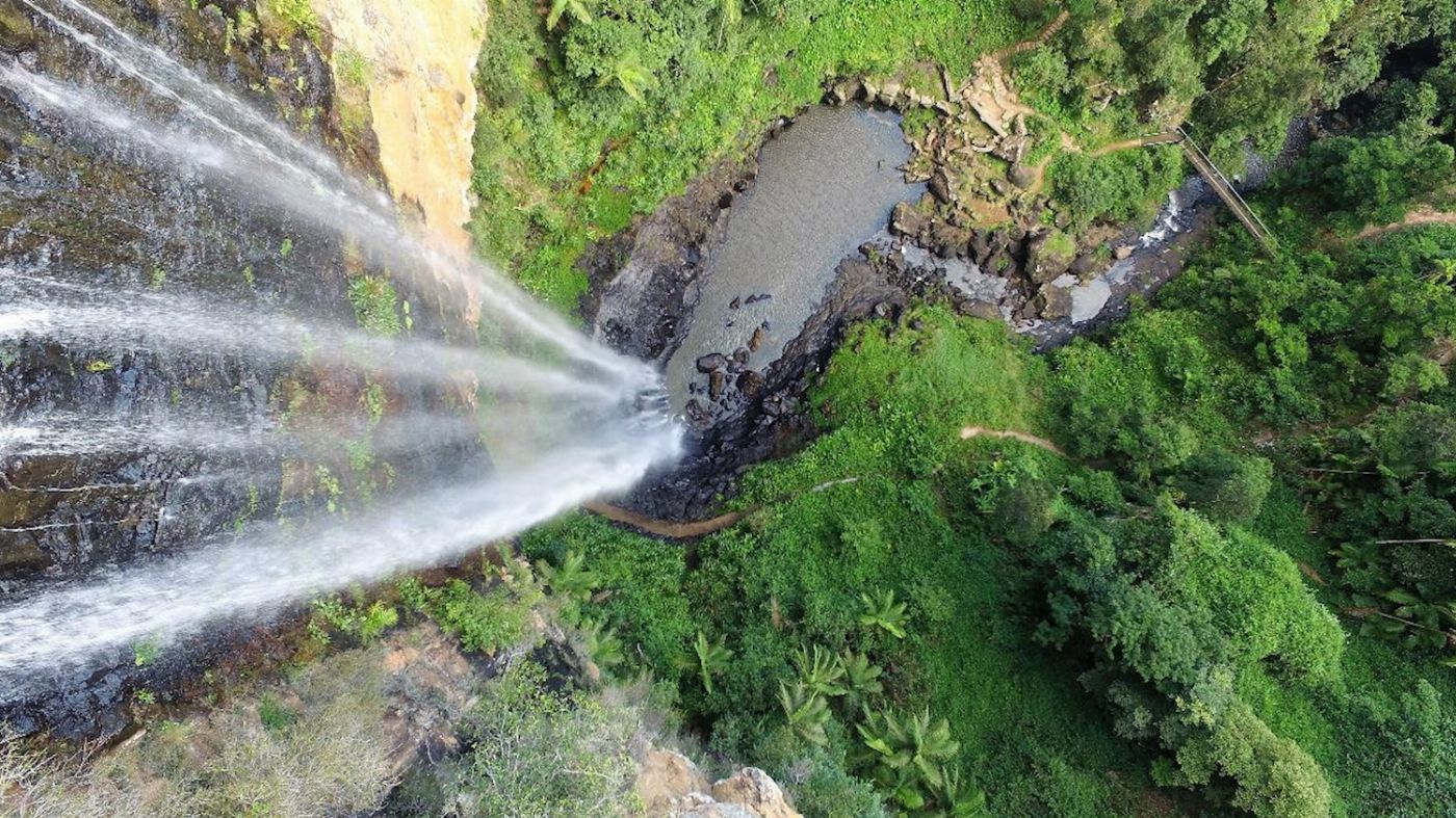 Southern Cross Tours UNESCO Springbrook NP, Waterfalls & Natural Bridge
