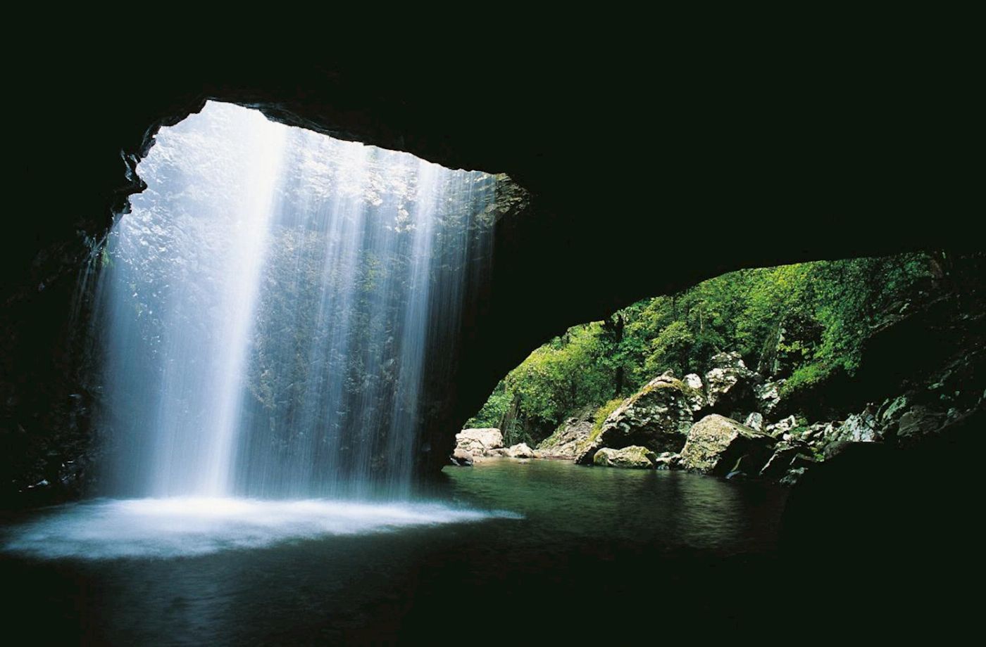 Southern Cross Tours UNESCO Springbrook NP, Waterfalls & Natural Bridge