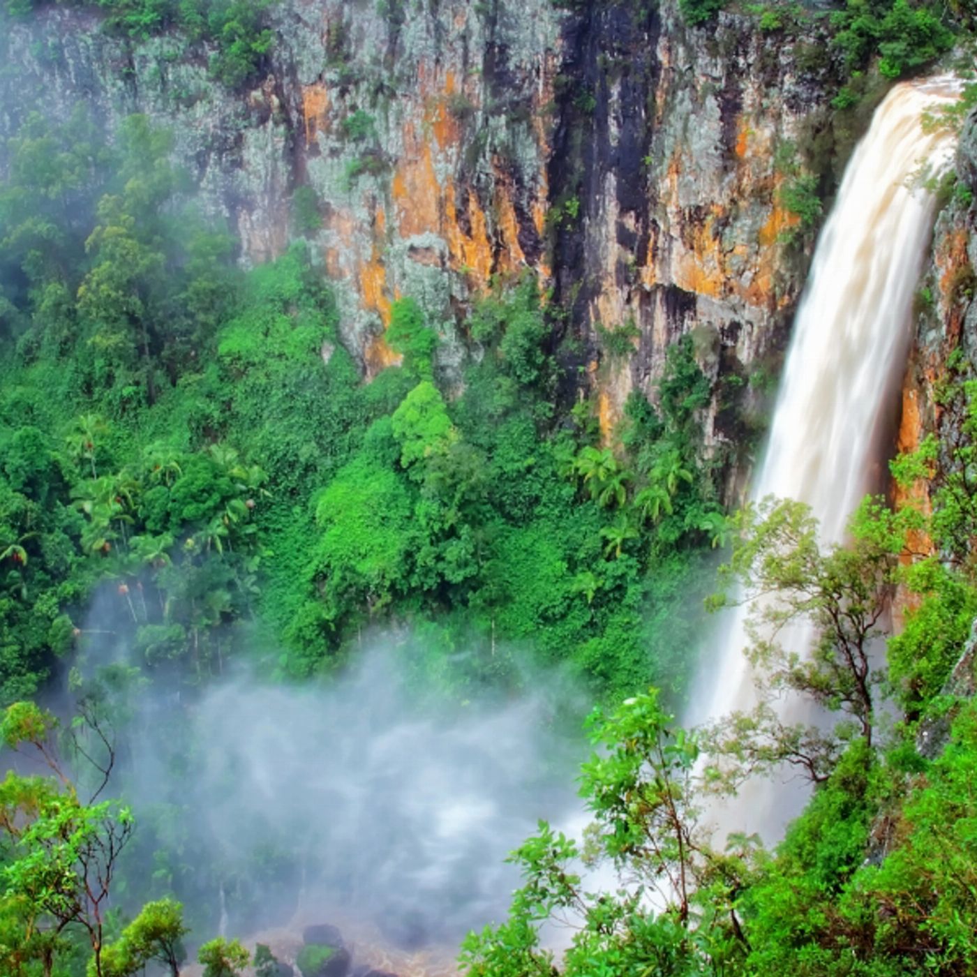 Southern Cross Tours UNESCO Springbrook NP, Waterfalls & Natural Bridge