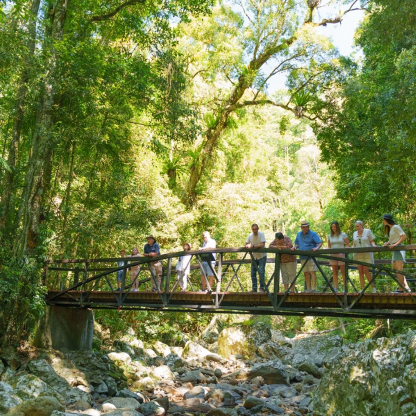 Southern Cross Tours UNESCO Springbrook NP, Waterfalls & Natural Bridge