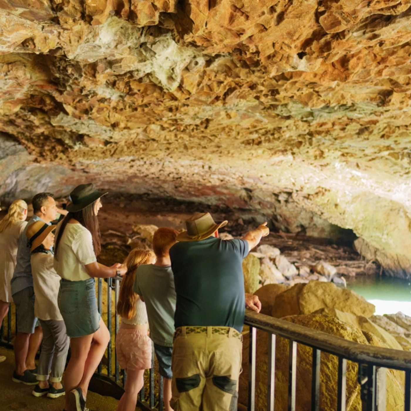 Southern Cross Tours UNESCO Springbrook NP, Waterfalls & Natural Bridge
