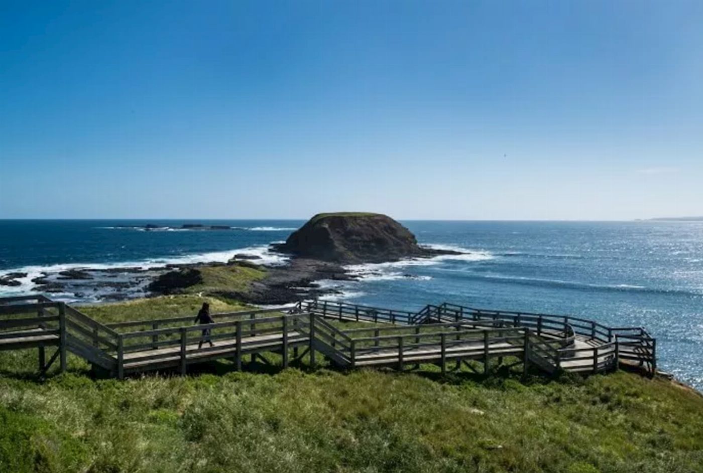 Sightseeing Tours Australia 1 Day Phillip Island Tour (AGENT)