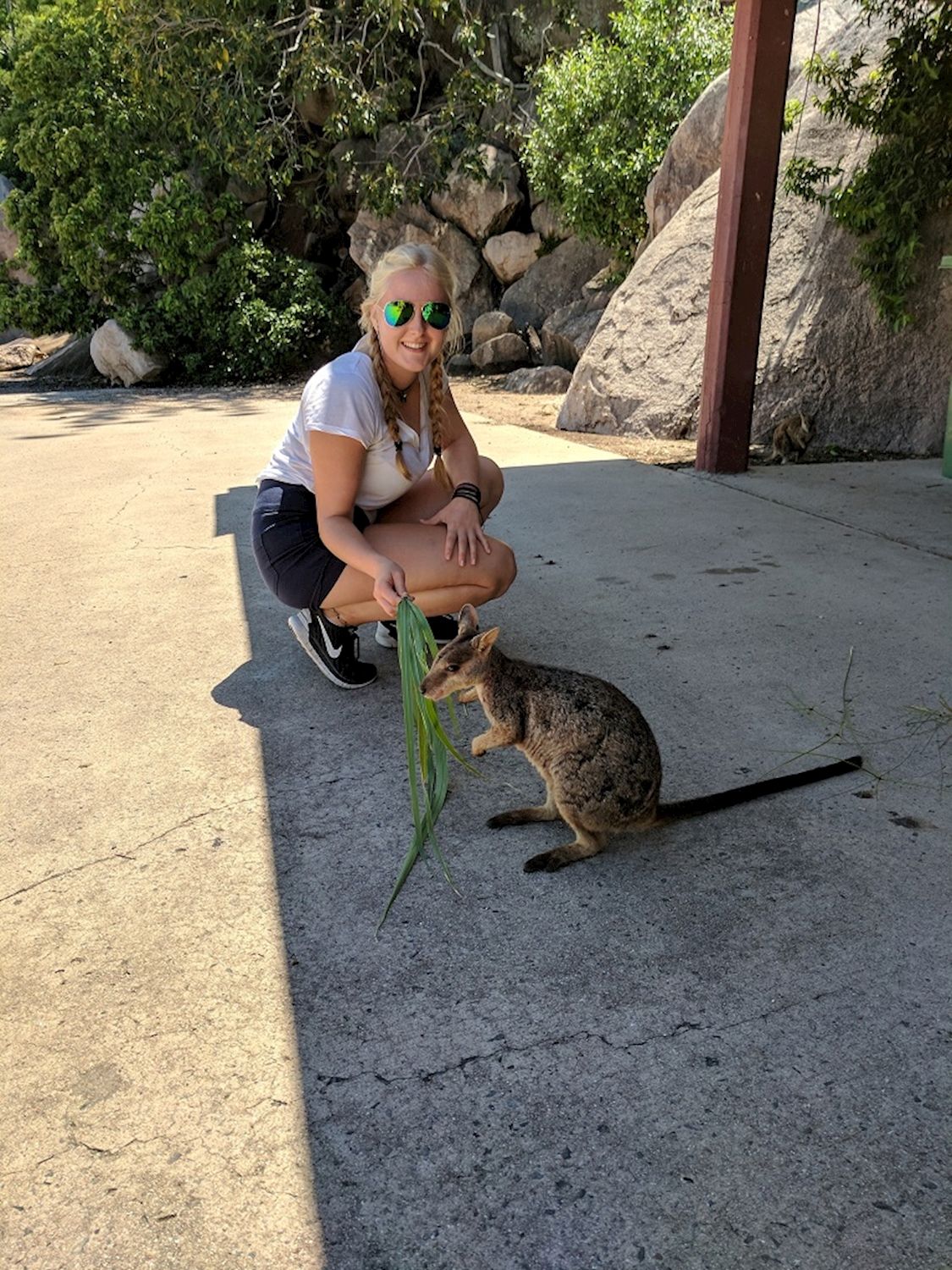 Magnetic Island’s Best Bus Tours Guided Bus Tour of Magnetic Island