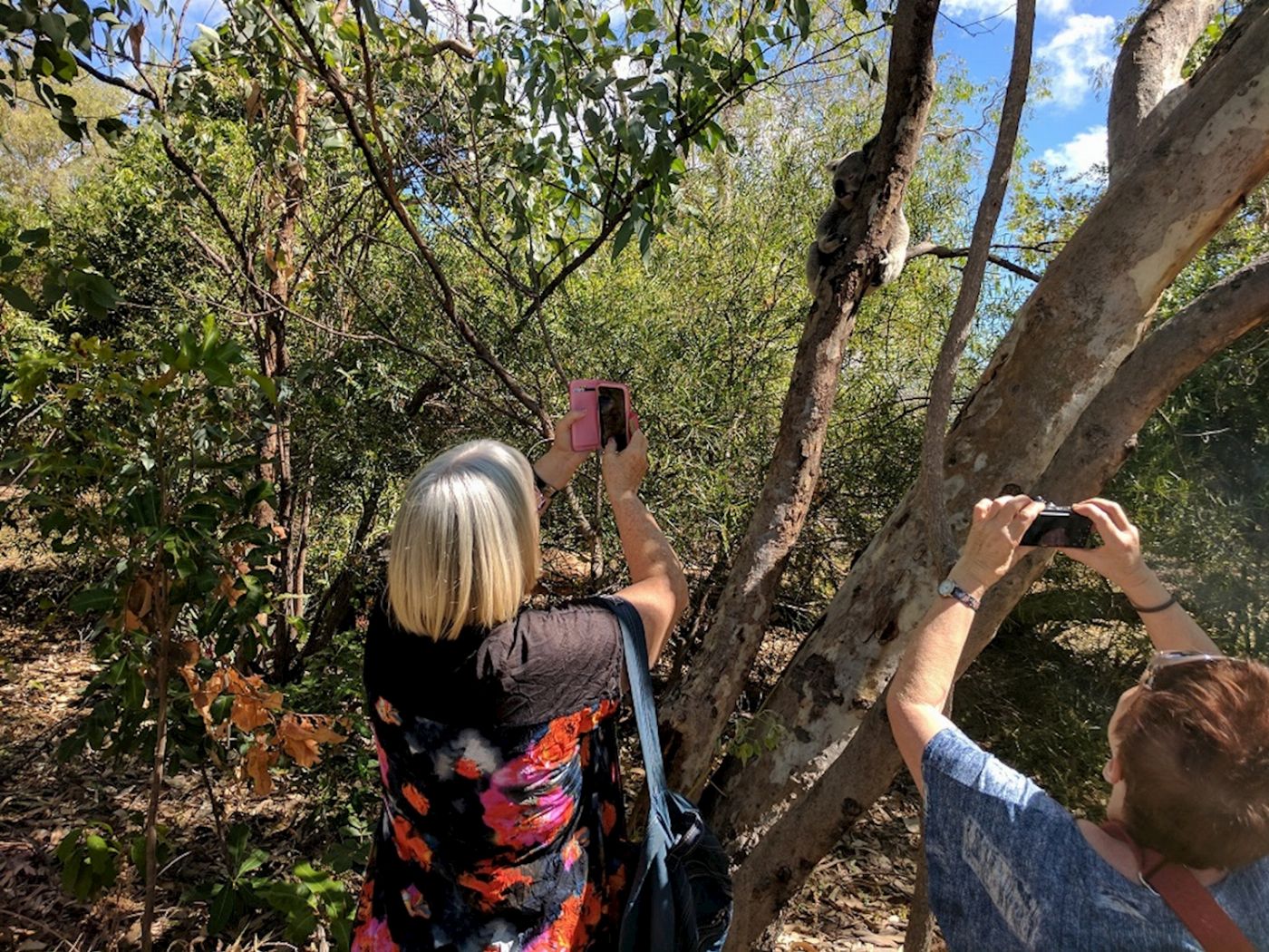 Magnetic Island’s Best Bus Tours Guided Bus Tour of Magnetic Island