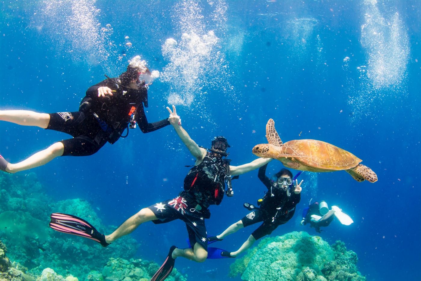 Divers Den PADI Open Water Referral Course (2 Day 1 Night Liveaboard)