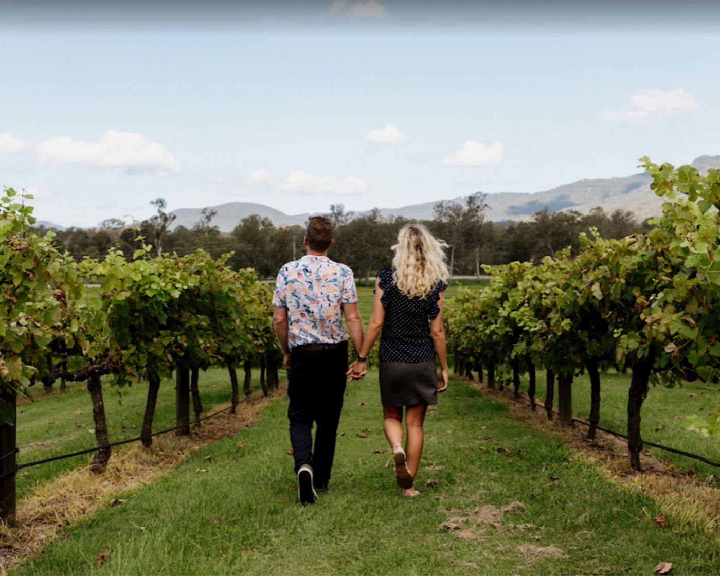 Pineapple Tours Mount Tamborine Winery Tour with Gourmet lunch + Hop on Hop Off Afternoon - From the Gold Coast