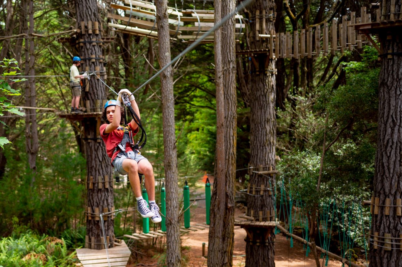 Treetops Adventure Hollybank Zipline Tour