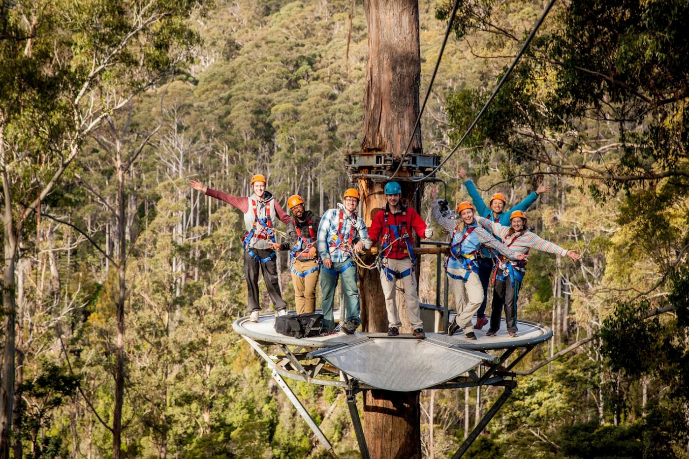 Treetops Adventure Hollybank Zipline Tour