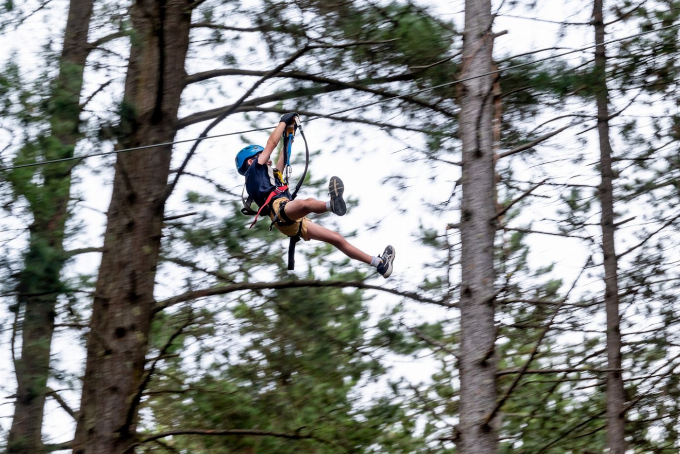 Treetops Adventure Hollybank Zipline Tour