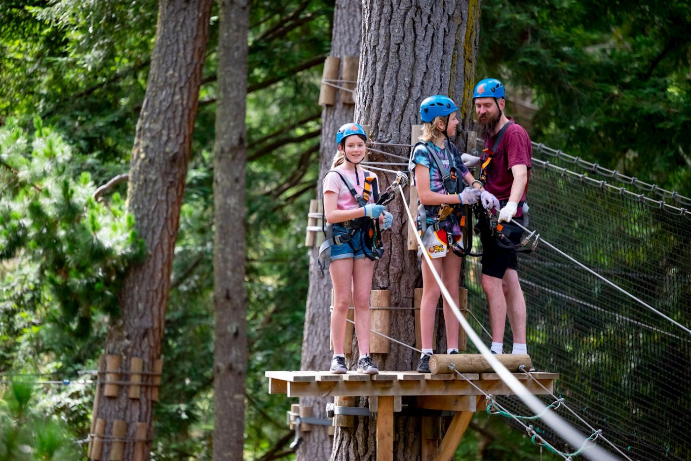 Treetops Adventure Hollybank Zipline Tour