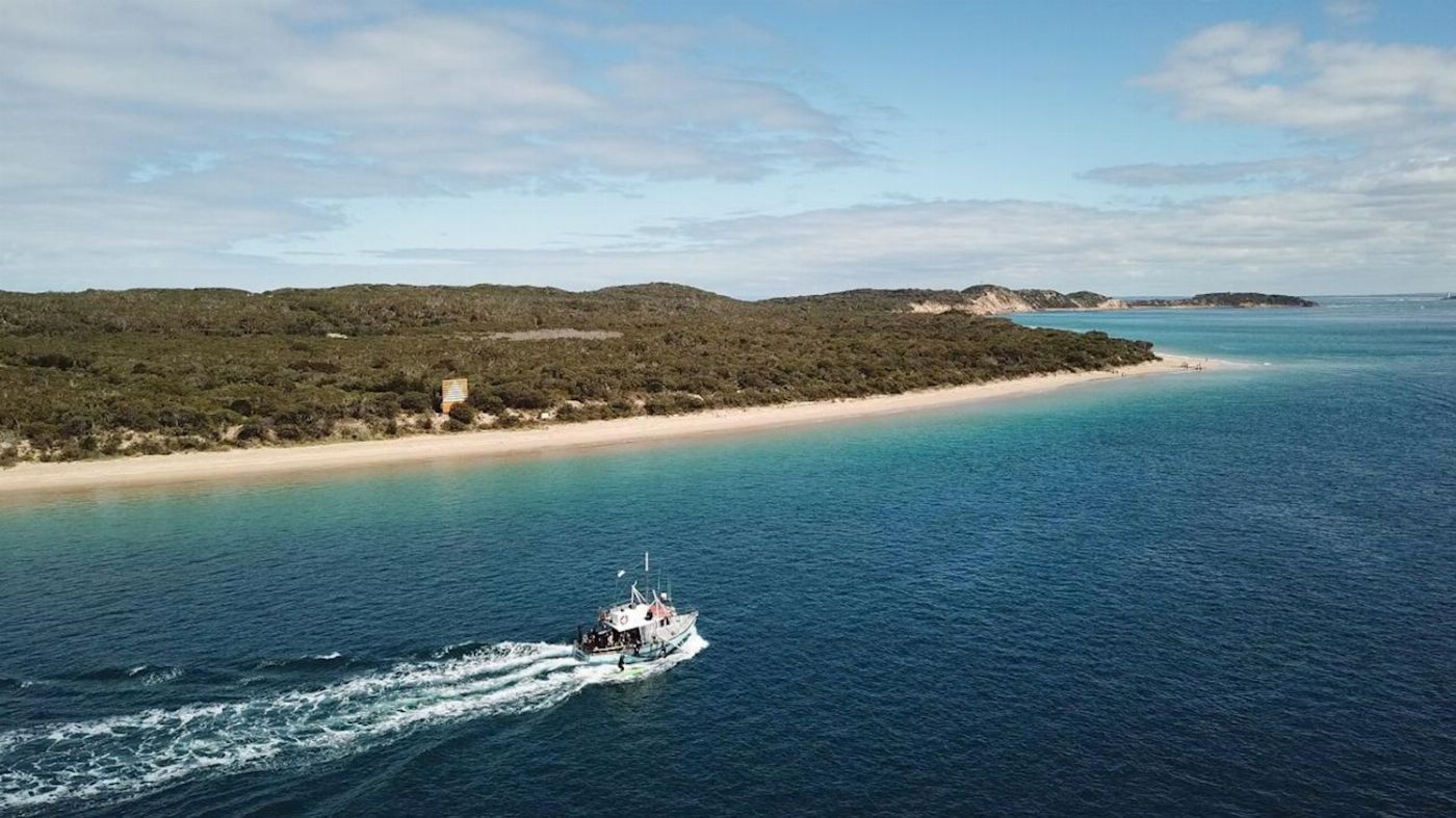 See All Dolphin Swim Seal & Dolphin Swim Tour (Observer)