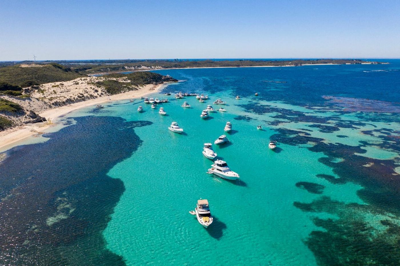 Sealink WA Rottnest Bayseeker Package (11:15am)