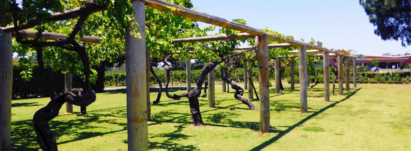 Sealink WA Swan Valley Gourmet Wine Cruise