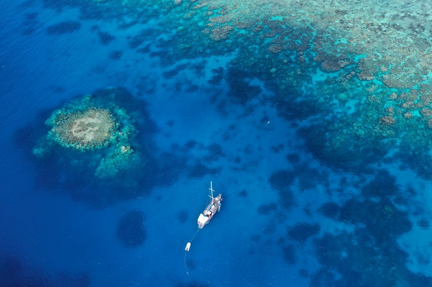 Coral Sea Dreaming Dive & Sail Dive & Snorkel Overnight Adventure - Private Cabin