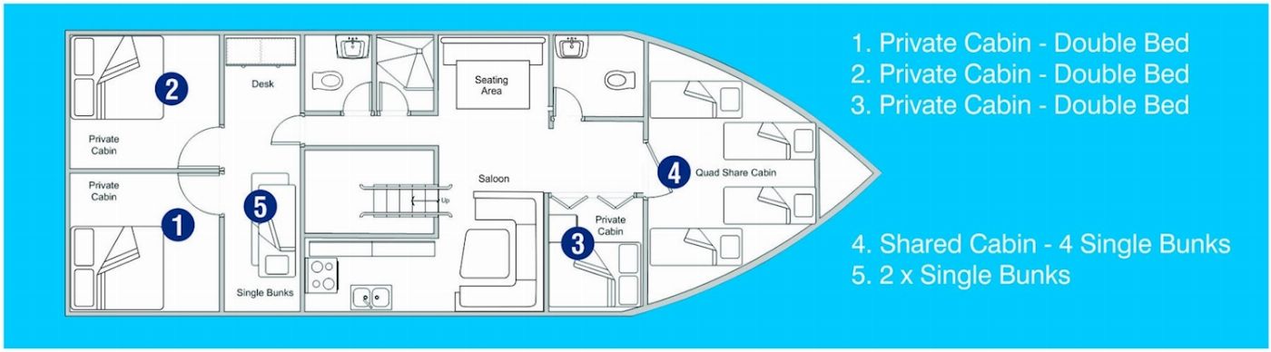 Coral Sea Dreaming Dive & Sail Dive & Snorkel Overnight Adventure - Private Cabin