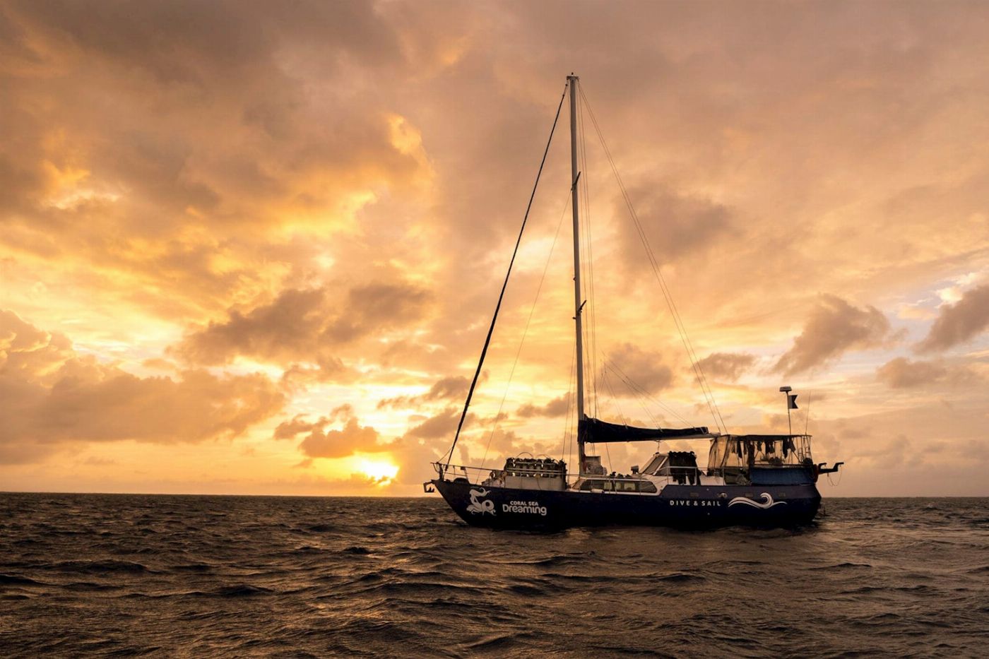 Coral Sea Dreaming Dive & Sail Dive & Snorkel Overnight Adventure - Private Cabin