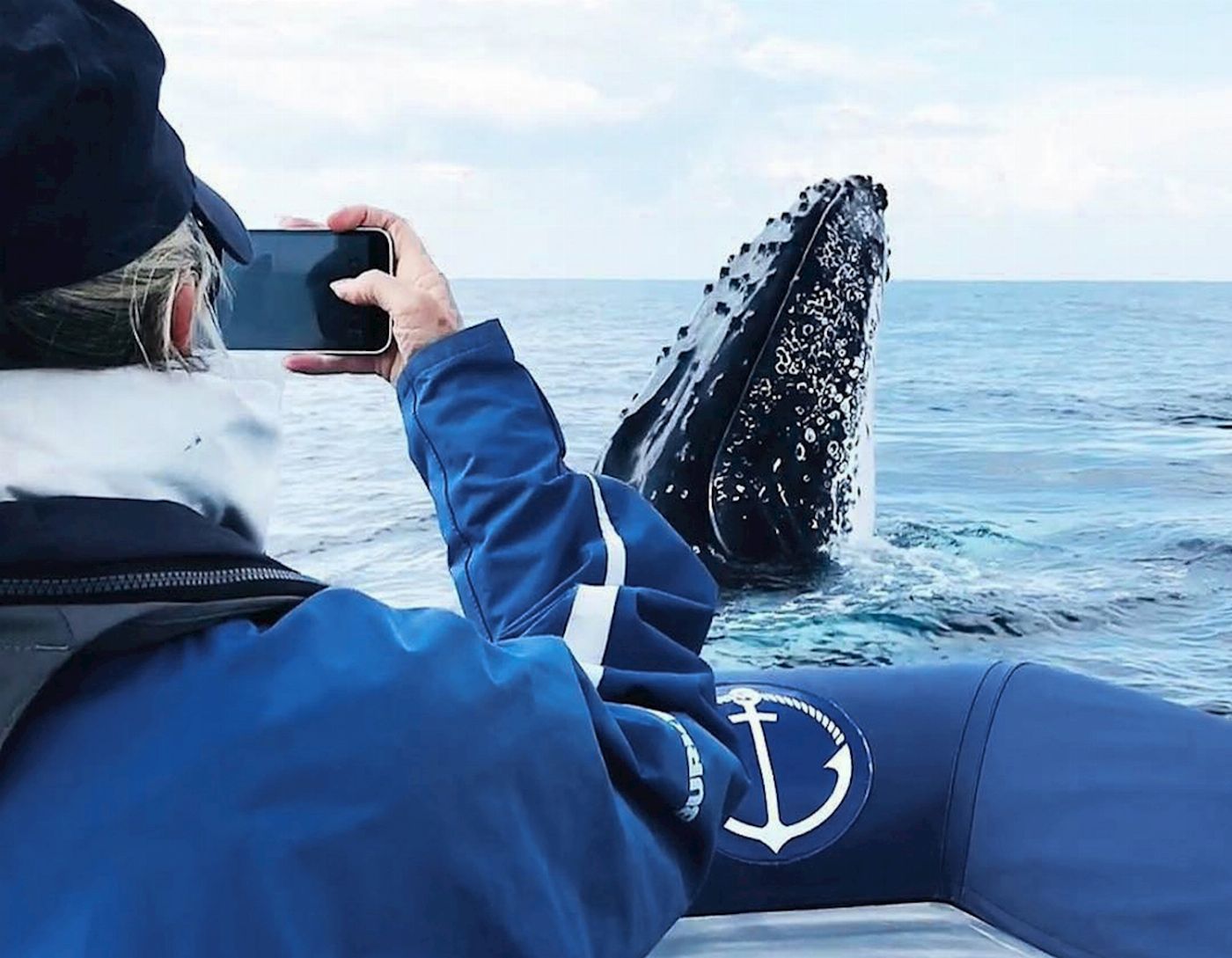 Out Of The Blue Adventures Whale Watching - Ballina Departure