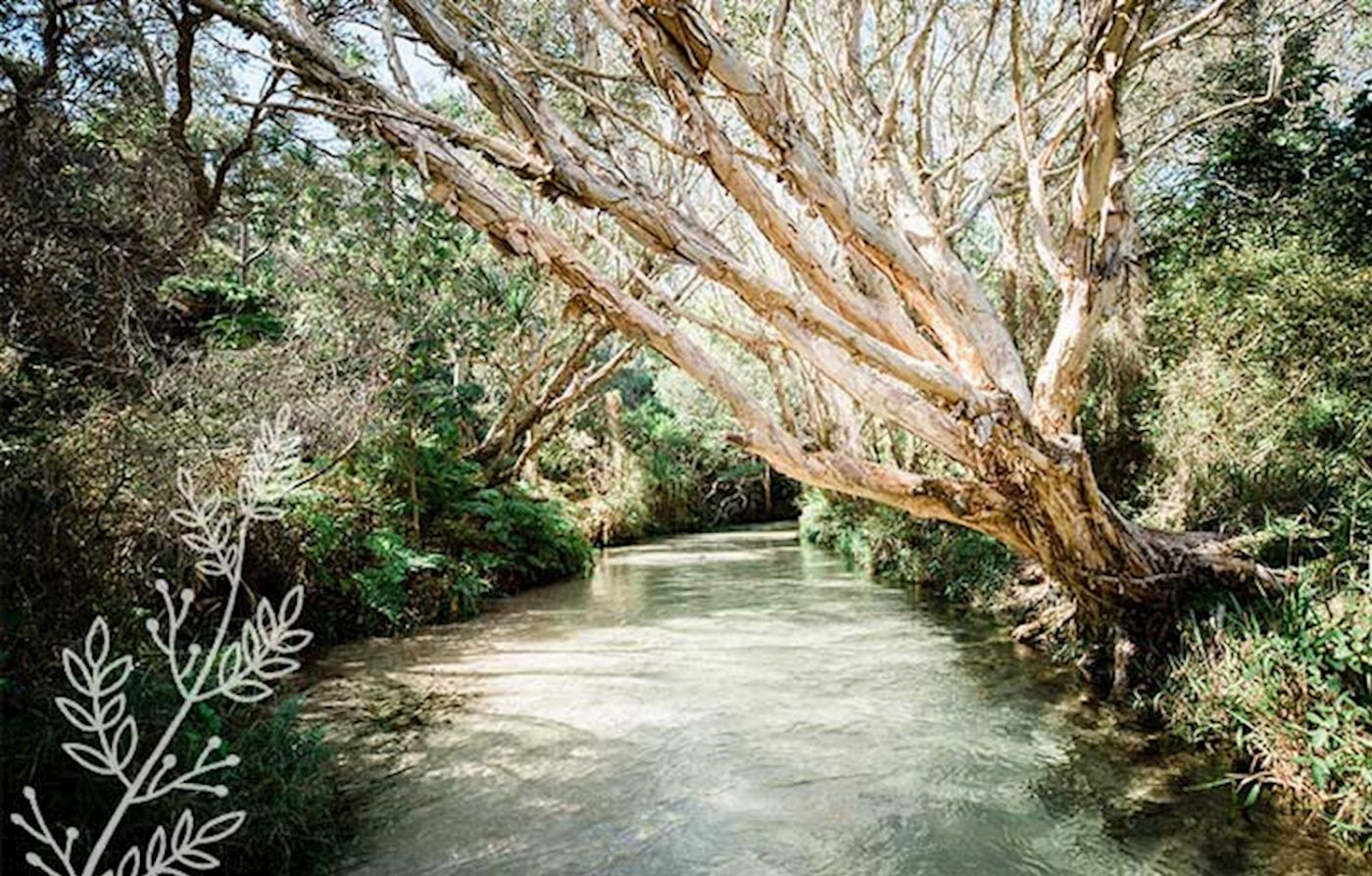 K'gari Explorer Tours K'gari Overnight Tour (ex Rainbow Beach) - Private Single