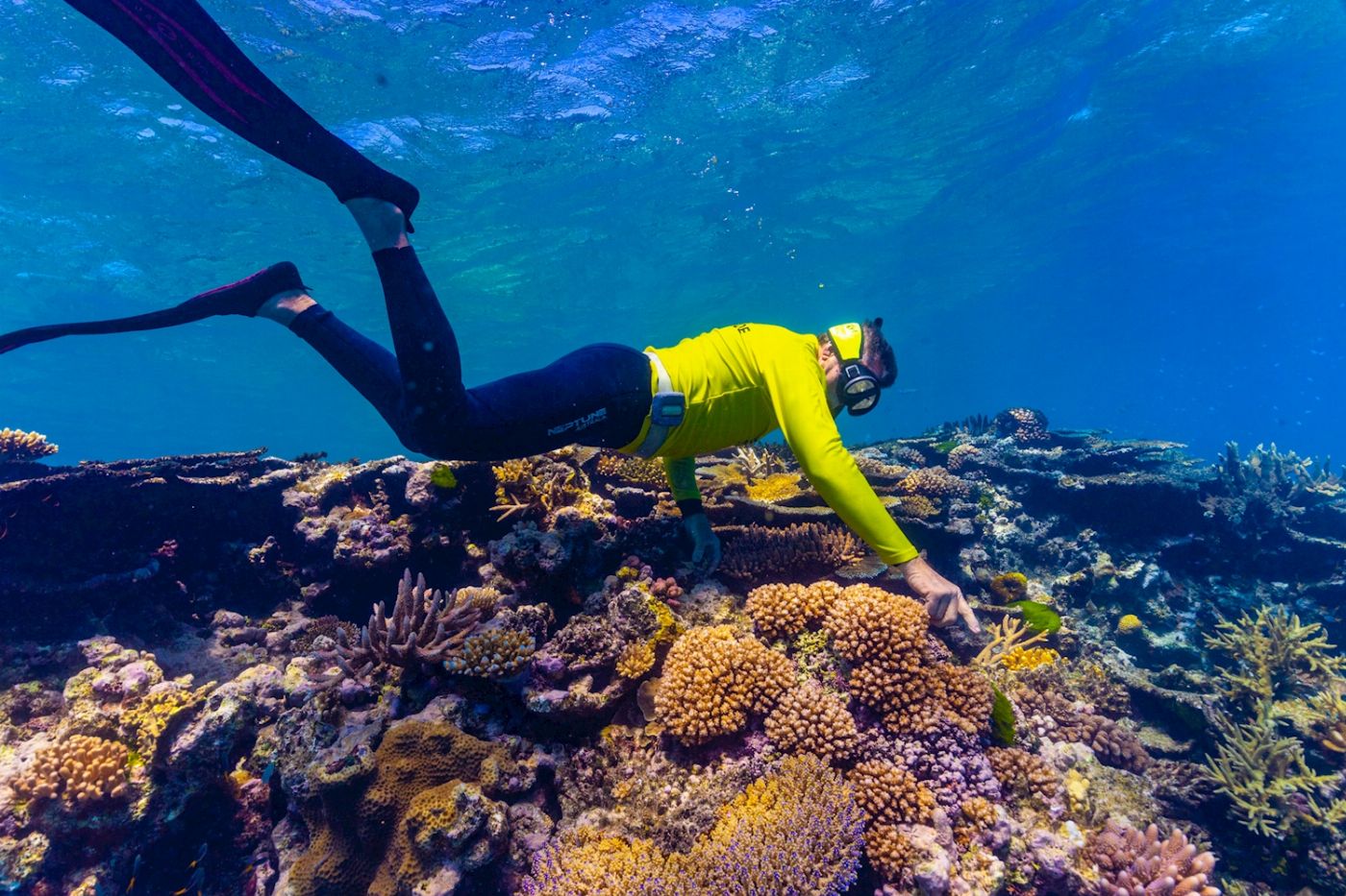 Adrenalin Dive Great Barrier Reef Day Trip (Snorkelling)