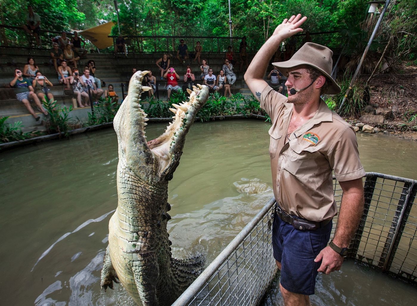 Down Under Tours Kuranda, Scenic Rail, Skyrail, Hartley's Crocodile Adventures & Cairns Transfers