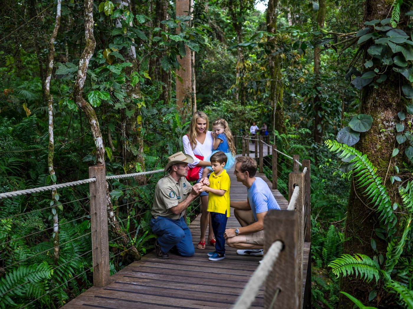 Down Under Tours Kuranda, Scenic Rail, Skyrail, Hartley's Crocodile Adventures & Cairns Transfers