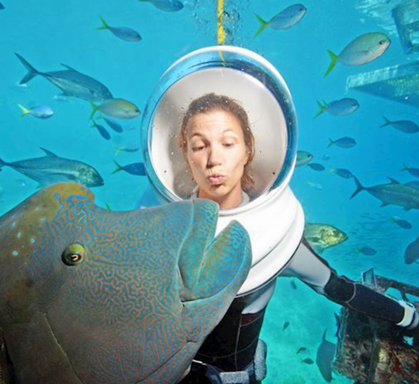 Sunlover Reef Cruises ADD-ON - Moore Reef - Seawalker Helmet Dive