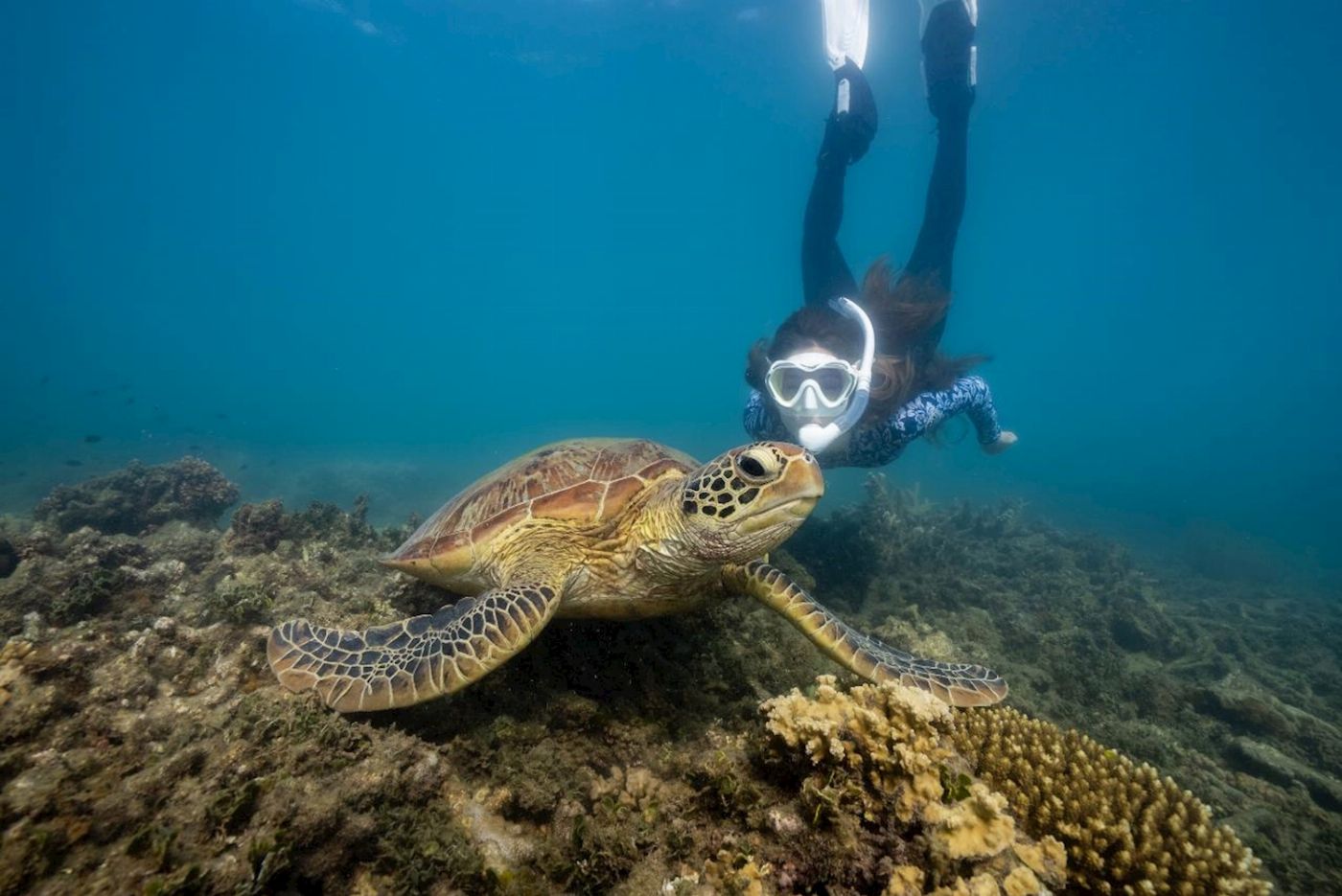Fitzroy Island Resort Fitzroy Island Full Day Tour | 11am - 5pm Ferry & Snorkel Equipment