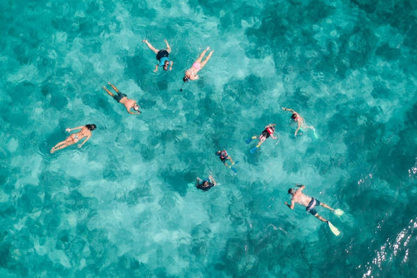Fitzroy Island Resort Fitzroy Island Full Day Tour from Cairns | Return Ferry (8am-5pm) & Guided Snorkel Safari (10am)