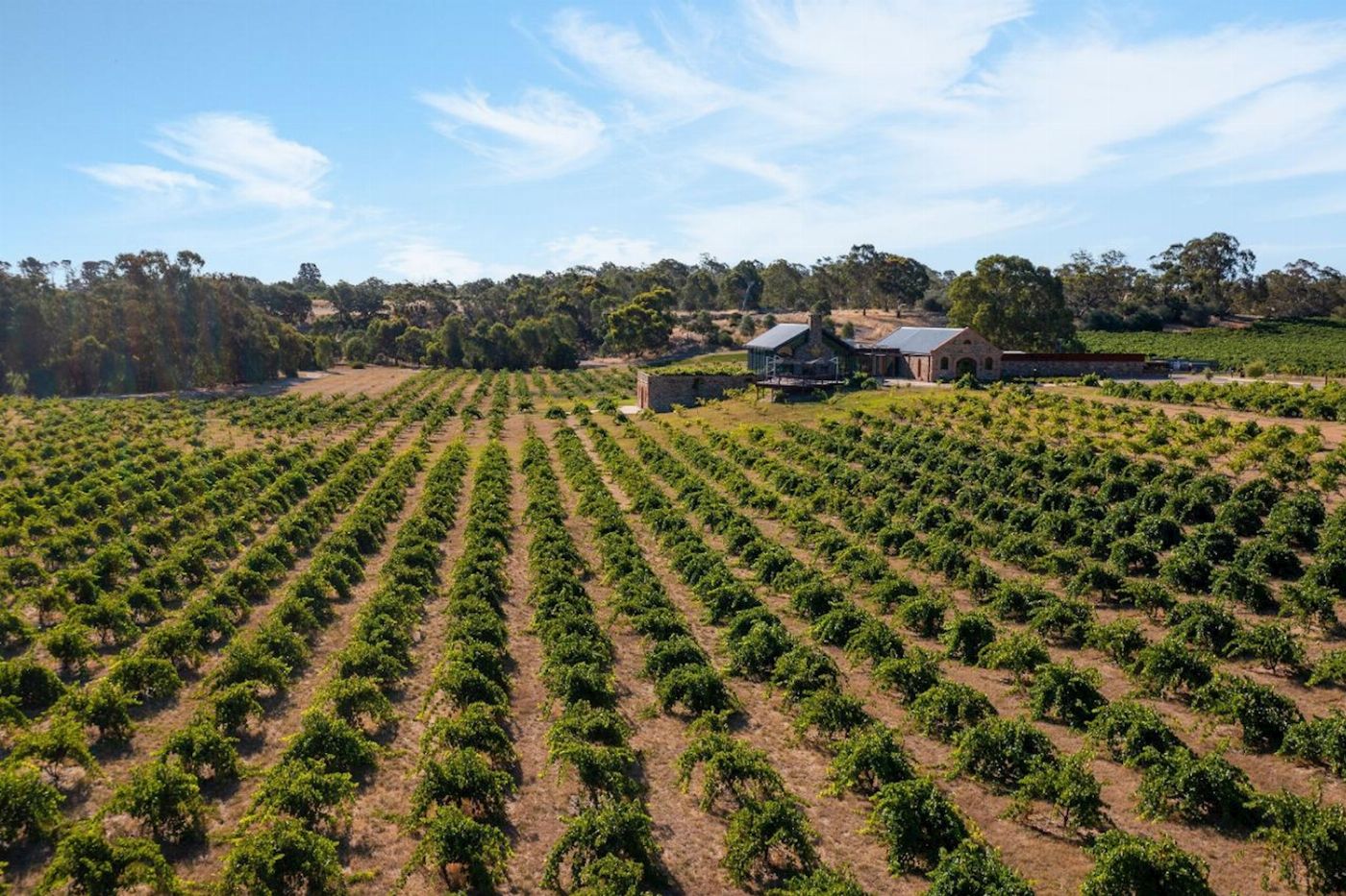 Barossa Helicopters Premium Tasting & Delicious 2 Course Lunch at St Hugo