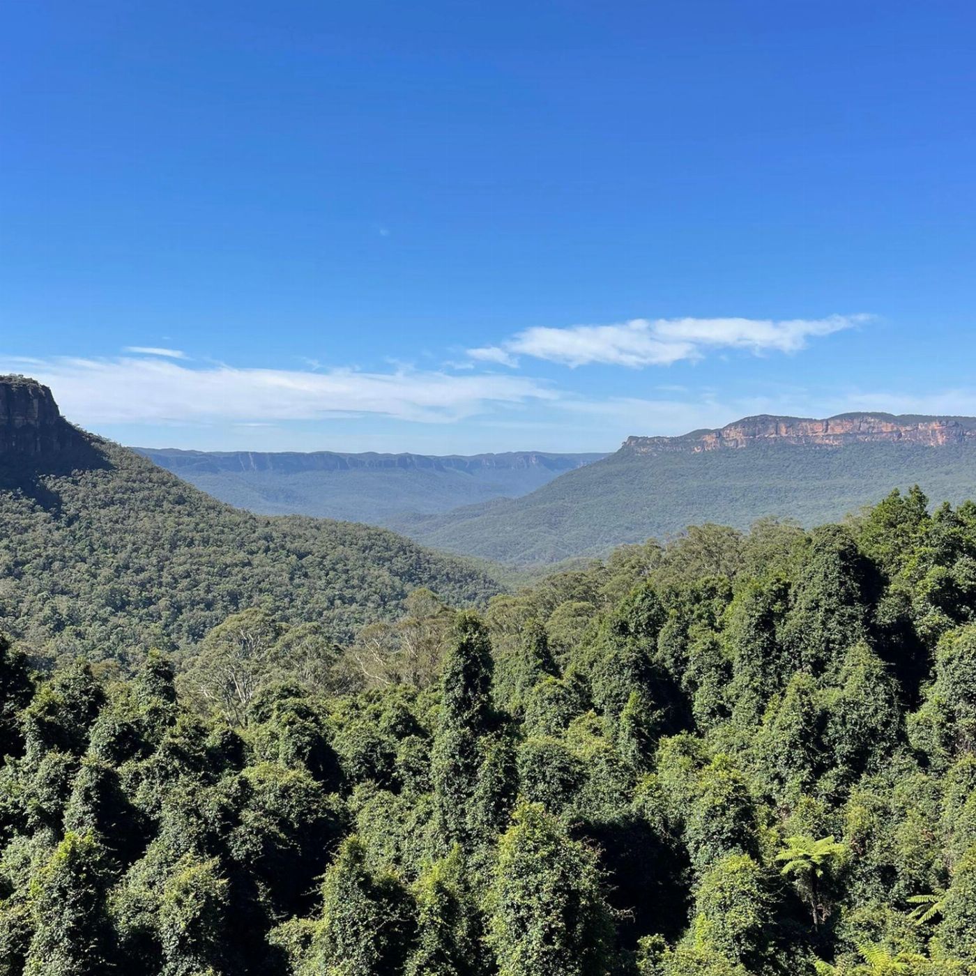 Mate Tours Blue Mountains Tour with Featherdale and Scenic World