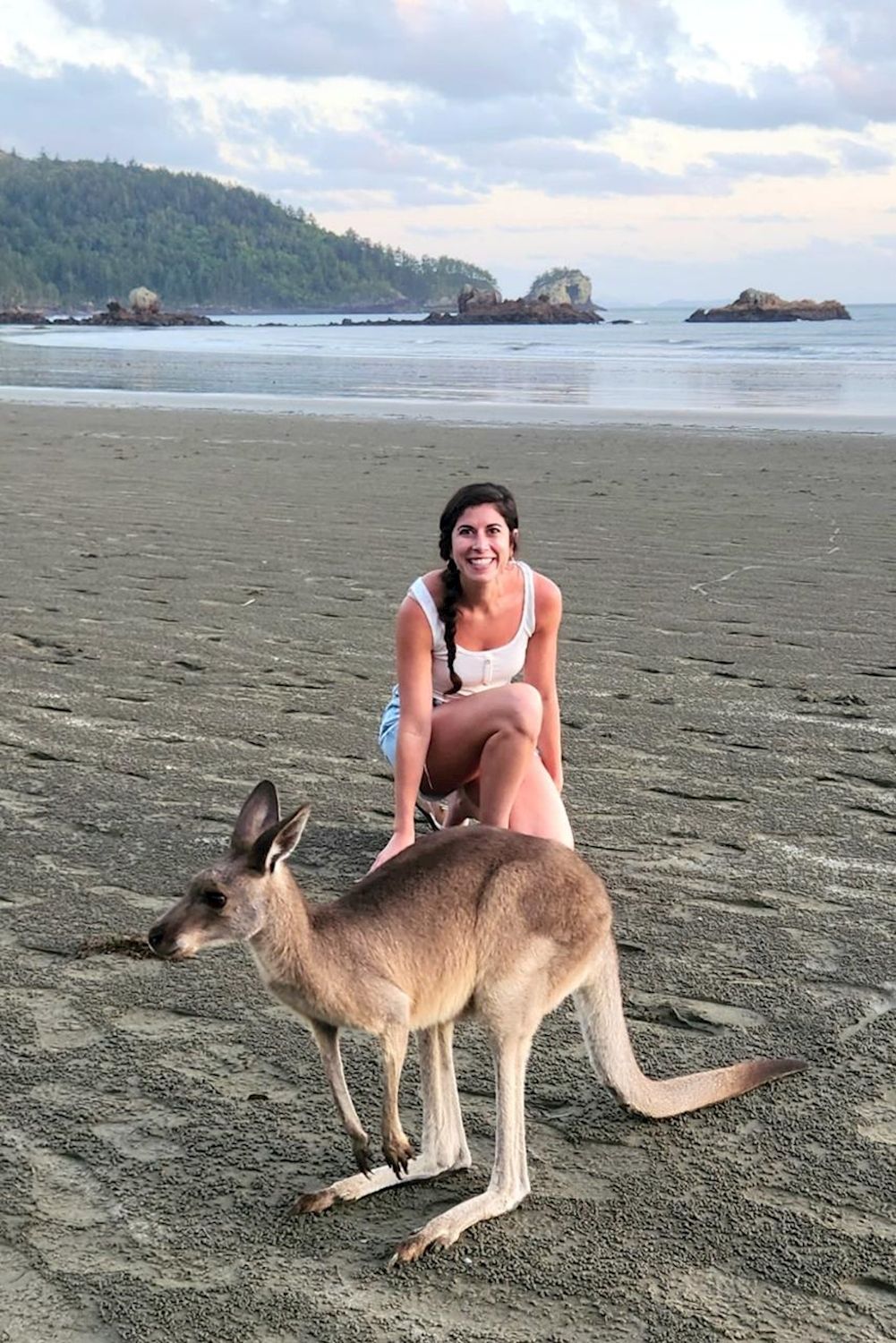 Driftwood Tours Sunrise with kangaroos-departs Airlie Beach