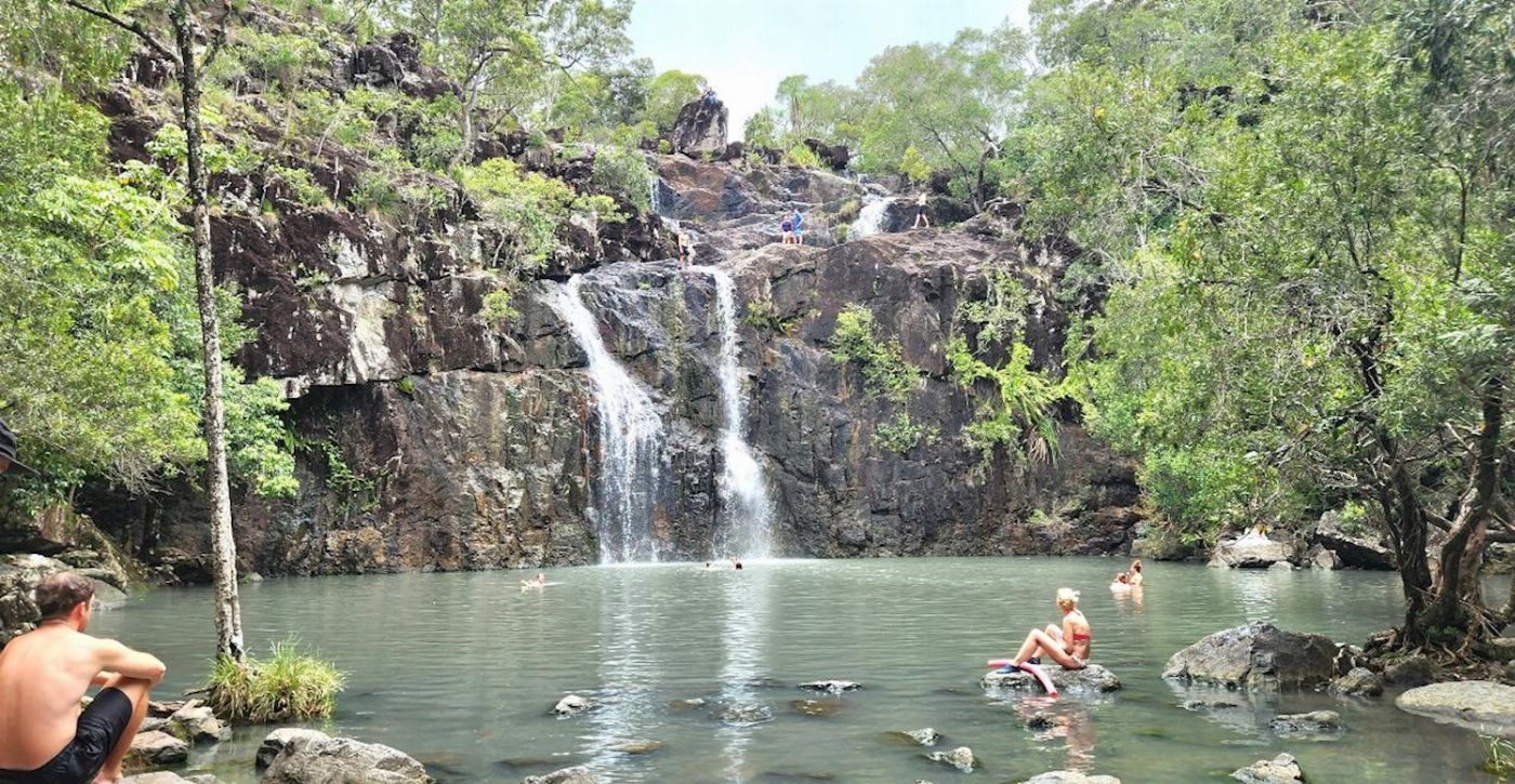 Driftwood Tours Rainforest Bushwalk & Waterfalls