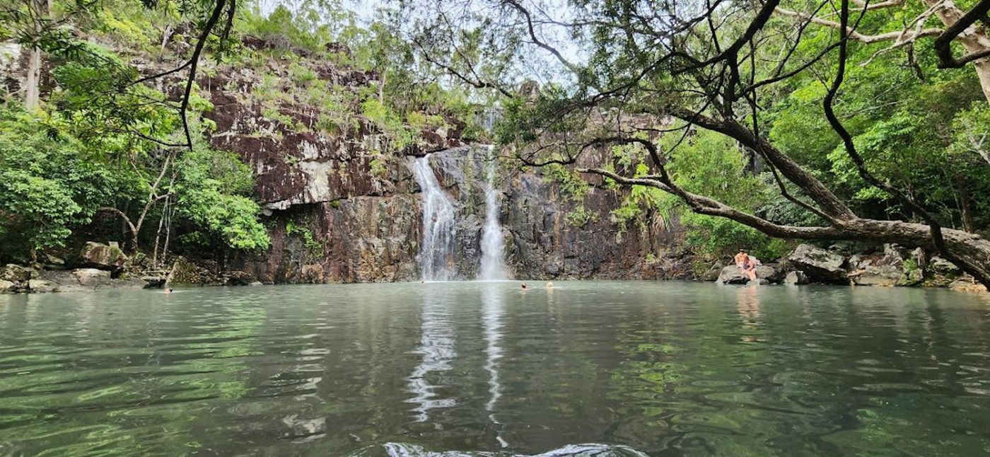 Driftwood Tours Rainforest Bushwalk & Waterfalls