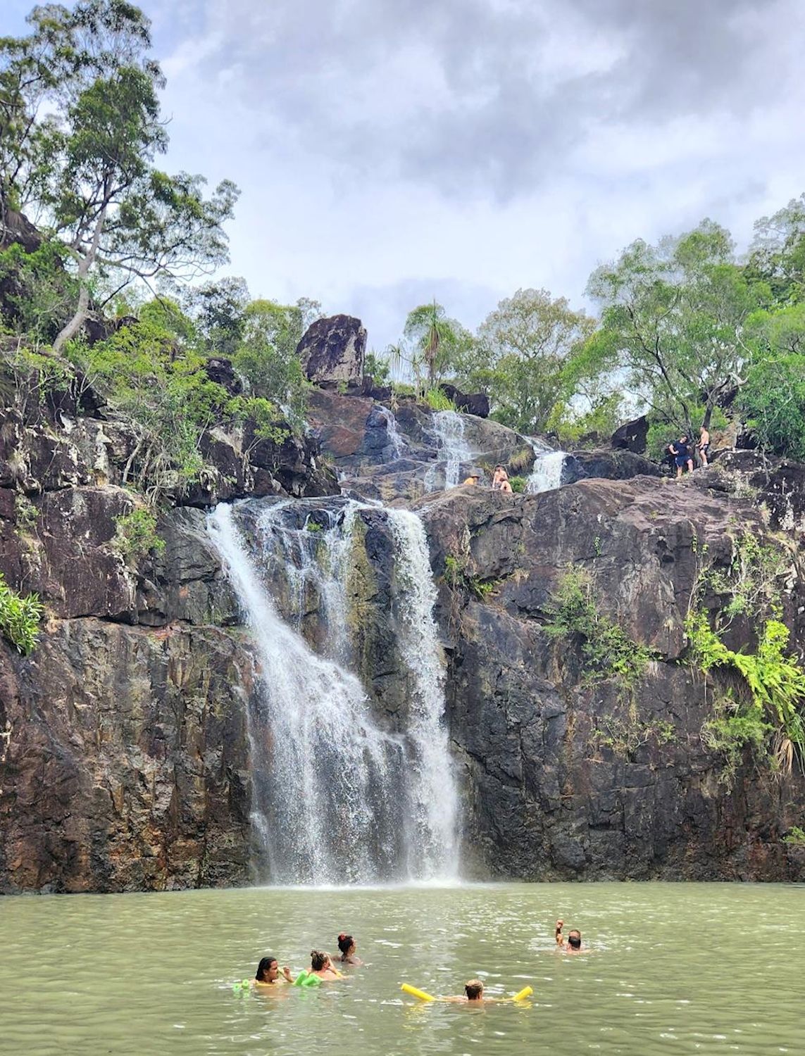 Driftwood Tours Rainforest Bushwalk & Waterfalls