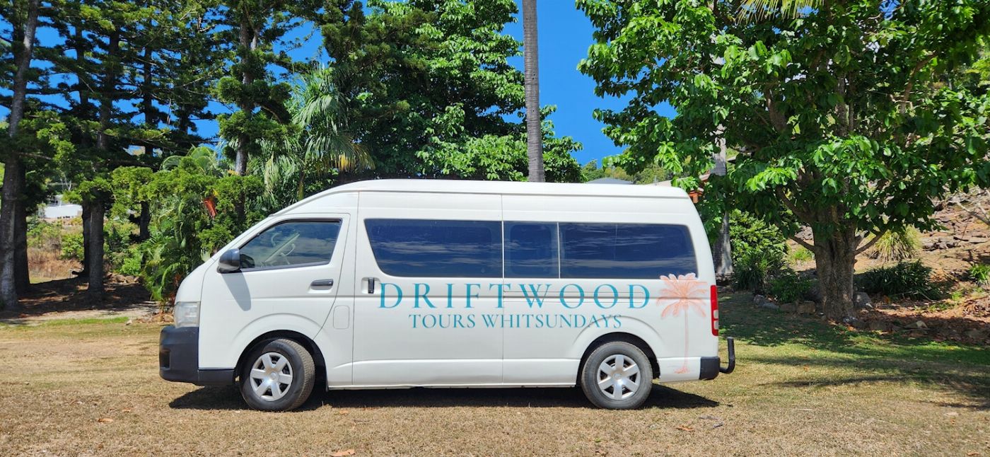 Driftwood Tours Rainforest Bushwalk & Waterfalls