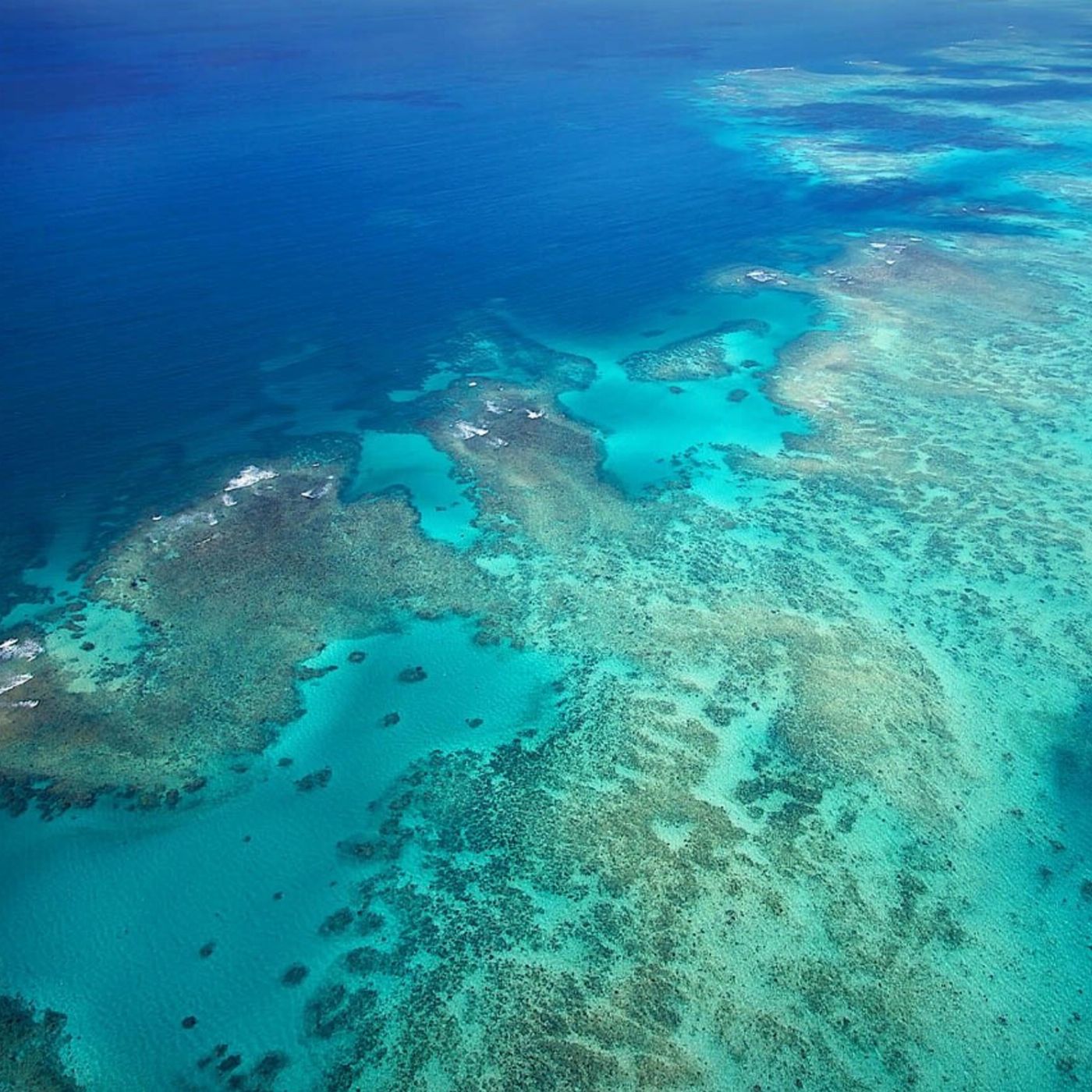 Zoom Helicopters 40 Minute Reef Scenic - Outer Reef Odyssey