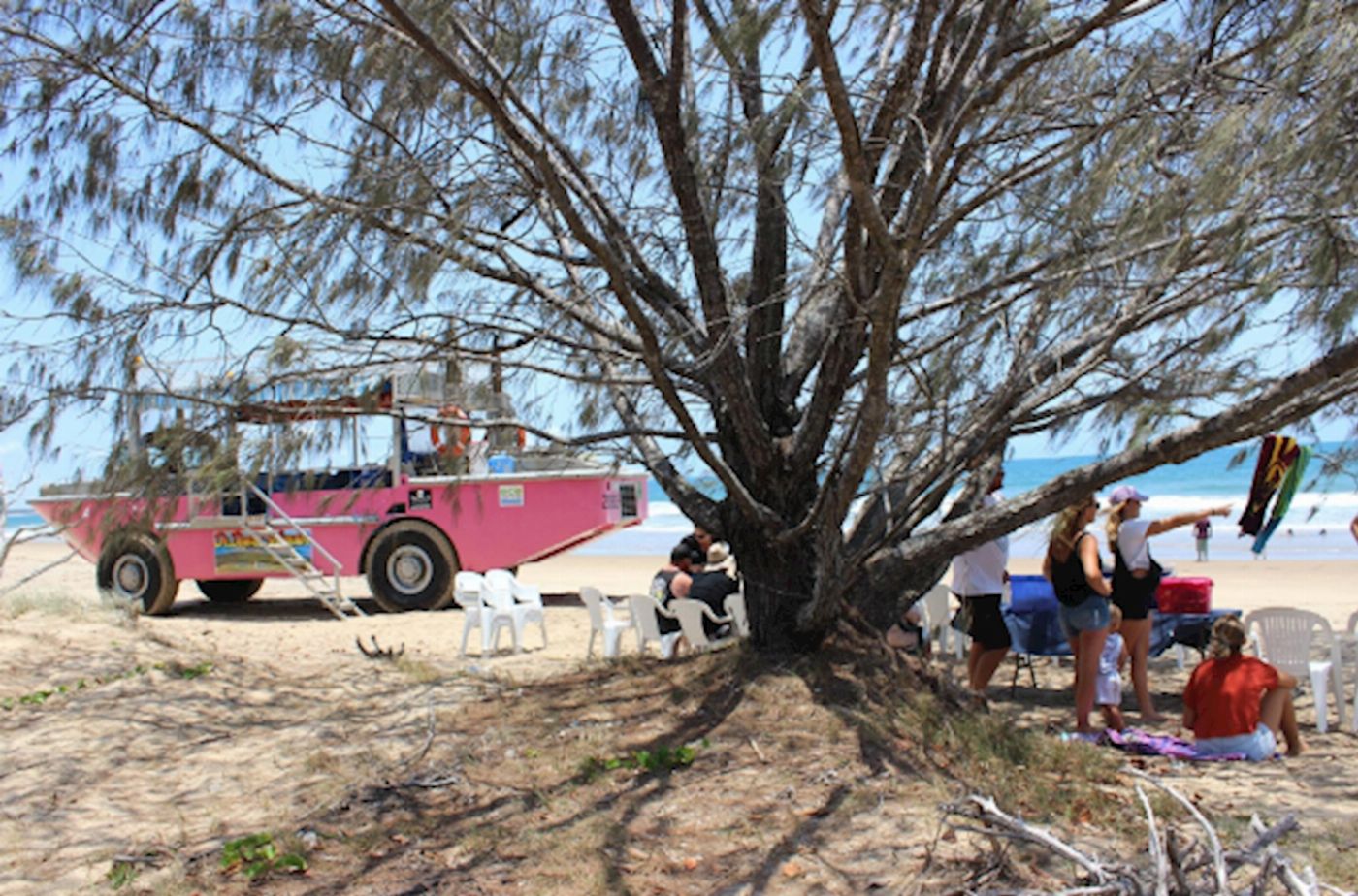 1770 LARC! Tours LARC + Lunch! (11AM to 1PM)