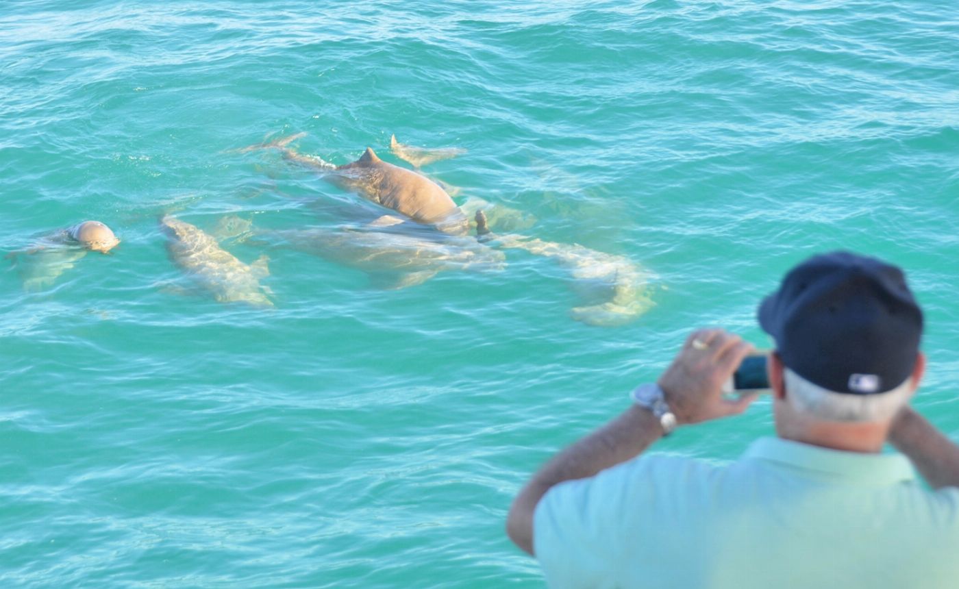 Broome Whale Watching Snubfin Dolphin Cruises