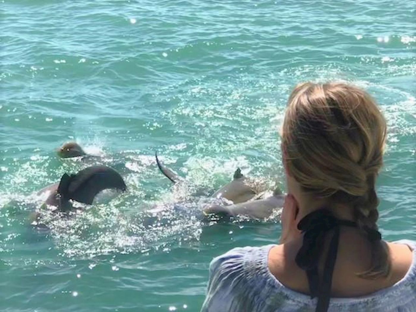 Broome Whale Watching Snubfin Dolphin Cruises
