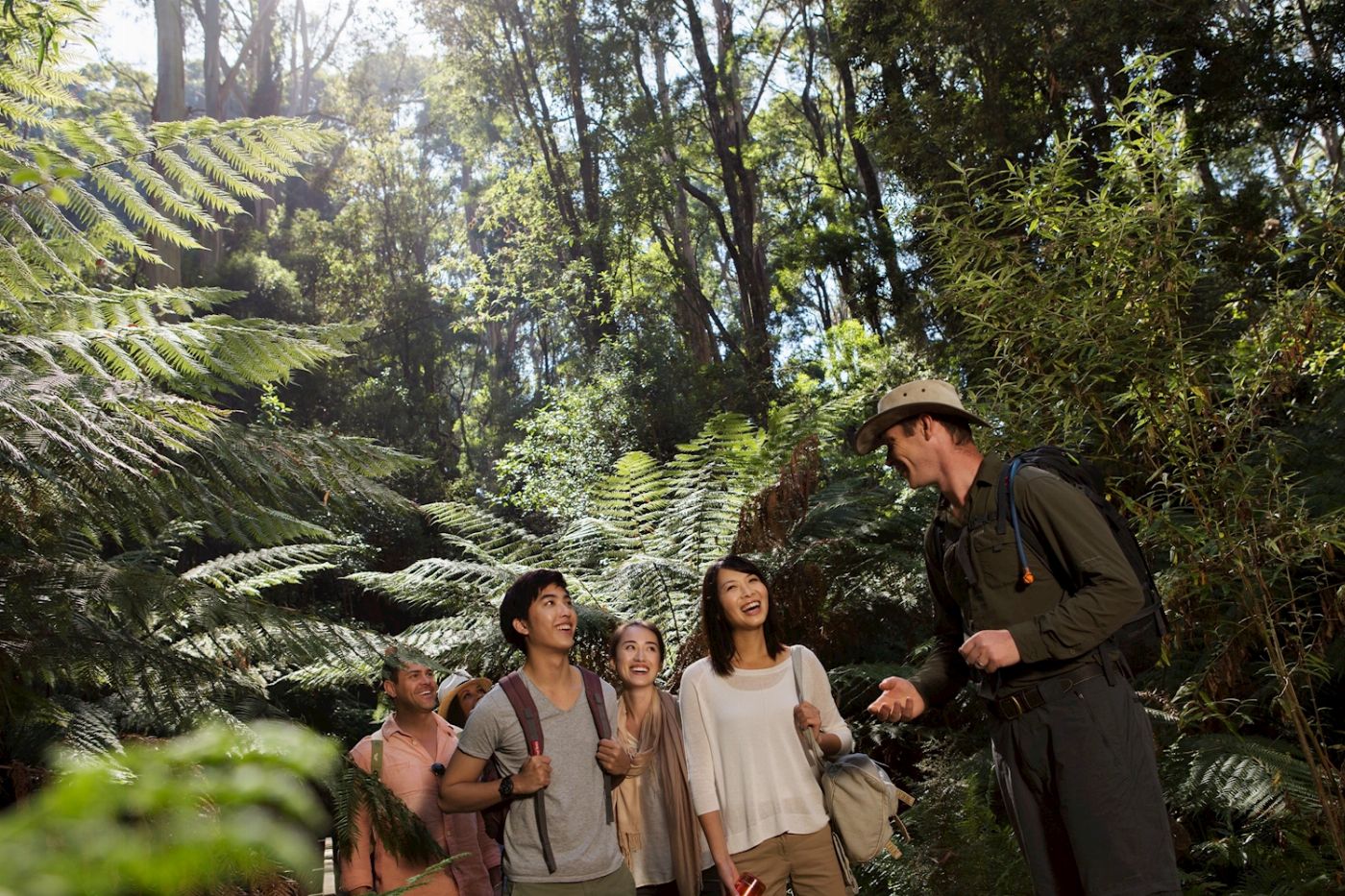 Explore Australia Explore Great Ocean Road and 12 Apostles - Day Tour