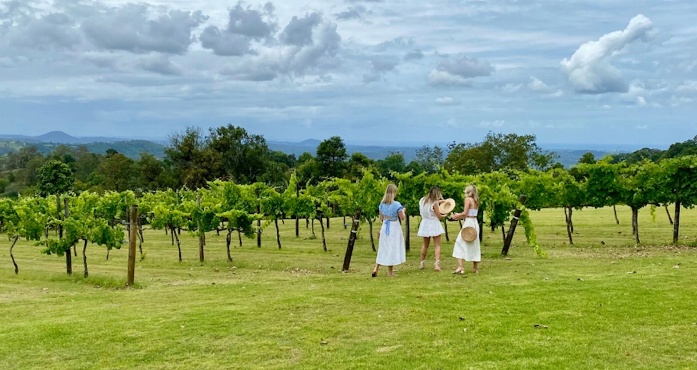 Creative Tours Hinterland Cheese & Wine Tour