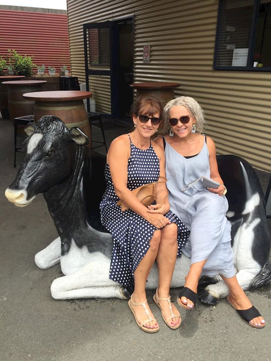 Creative Tours Hinterland Cheese & Wine Tour