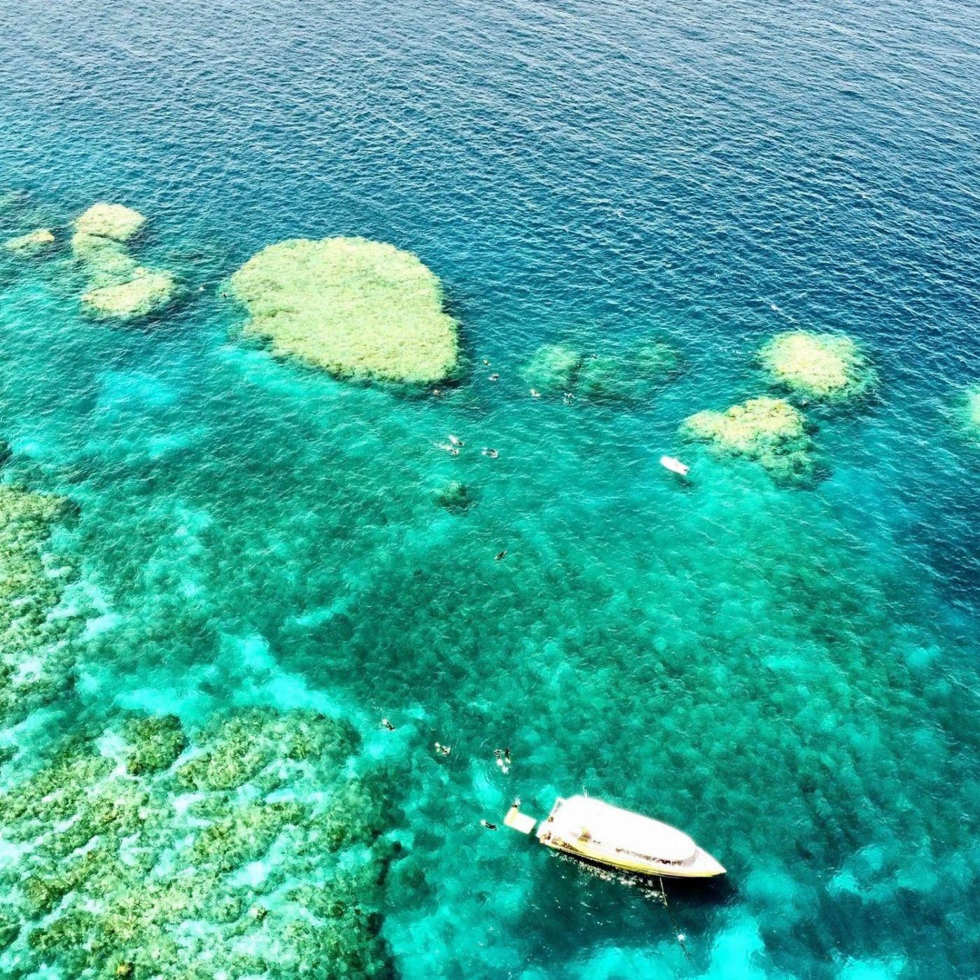 Iconic Whitsunday Adventures Viper | Outer Barrier Reef, Hill Inlet Lookout & Whitehaven Beach