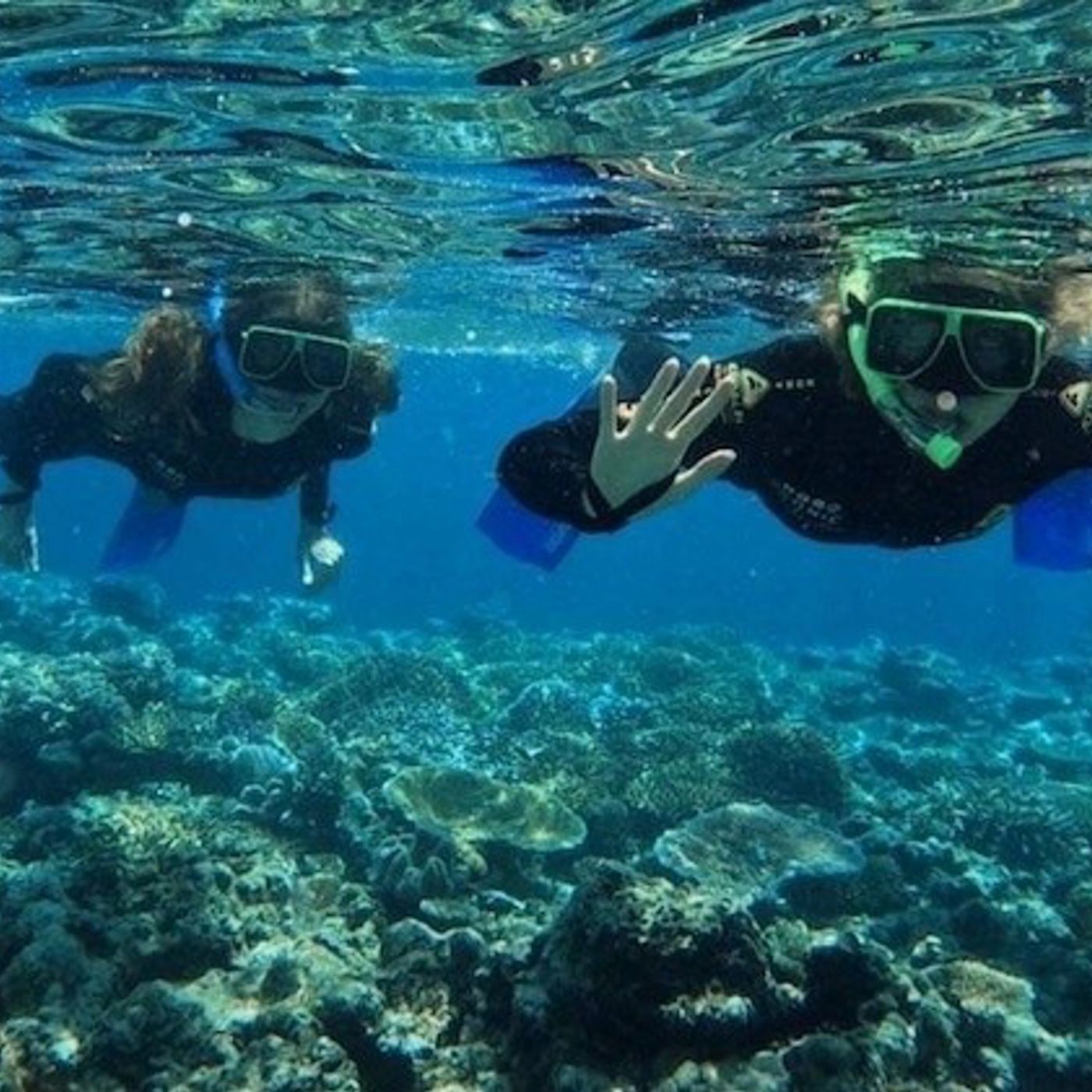 Iconic Whitsunday Adventures Viper | Outer Barrier Reef, Hill Inlet Lookout & Whitehaven Beach