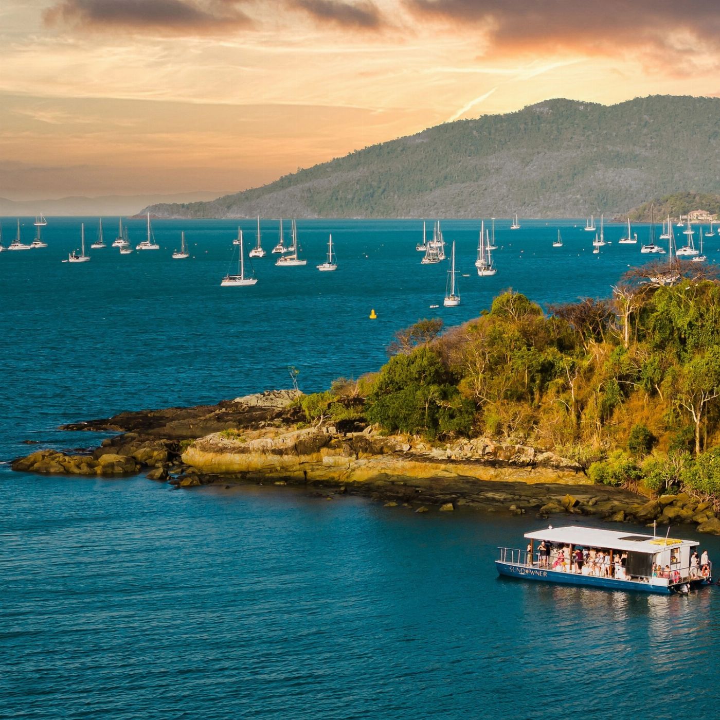 Iconic Whitsunday Adventures Sundowner Cruise