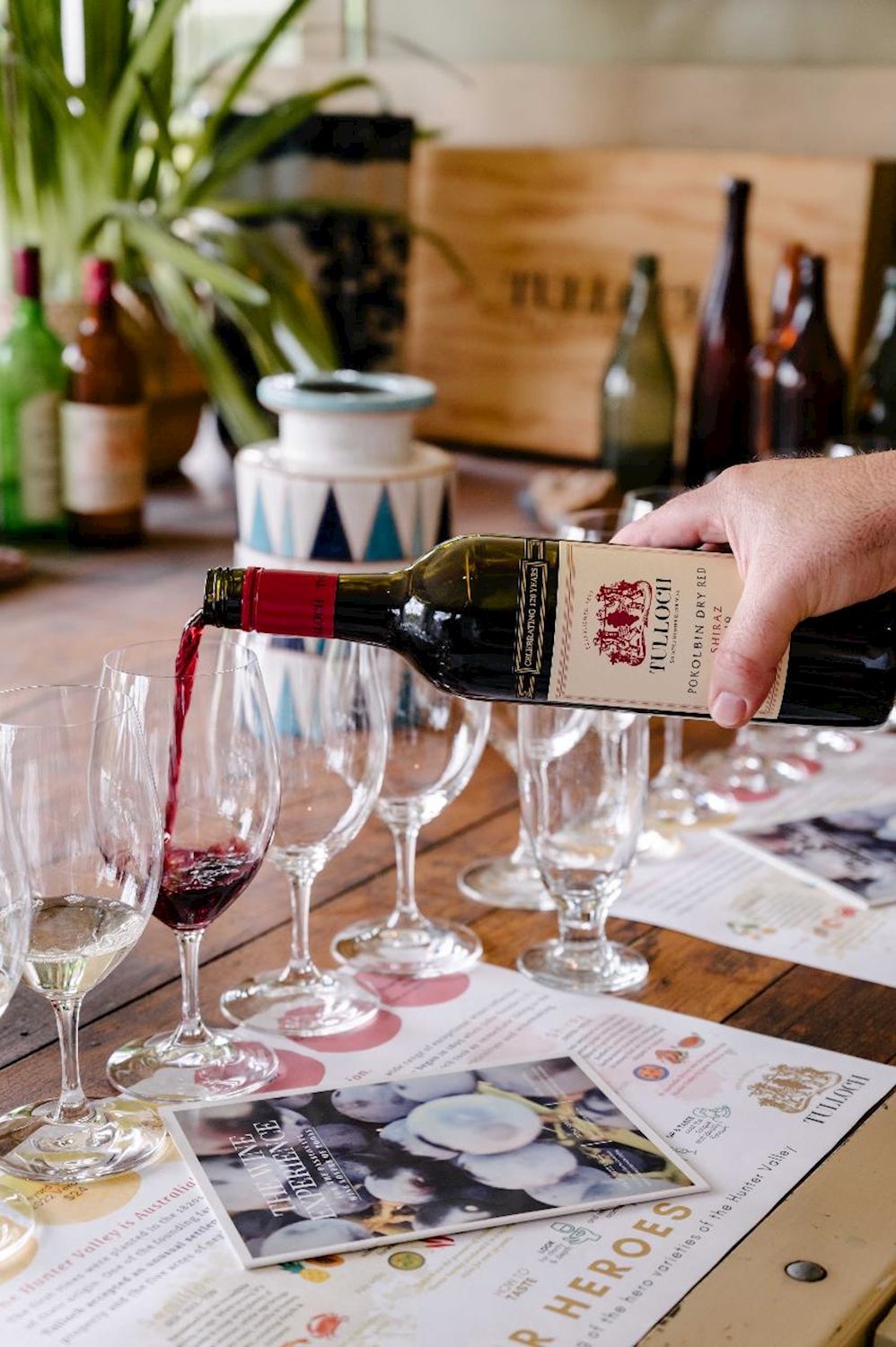 Tulloch Wines - Hunter Heroes Wine Tasting Experience with Local Cheese and Charcuterie