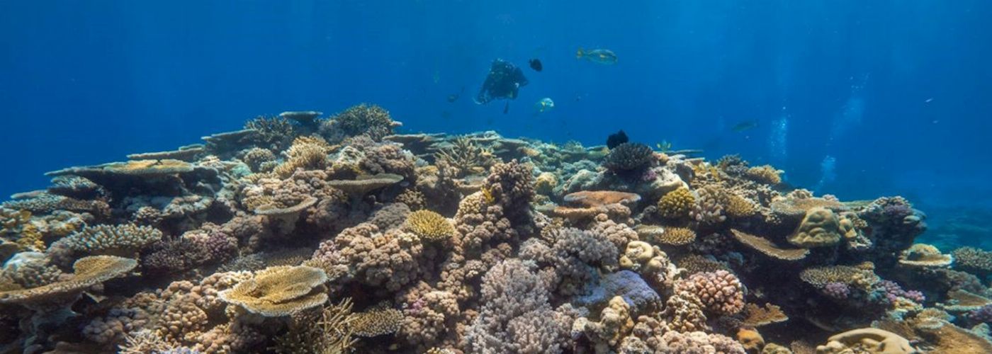 Tusa Reef Tours
