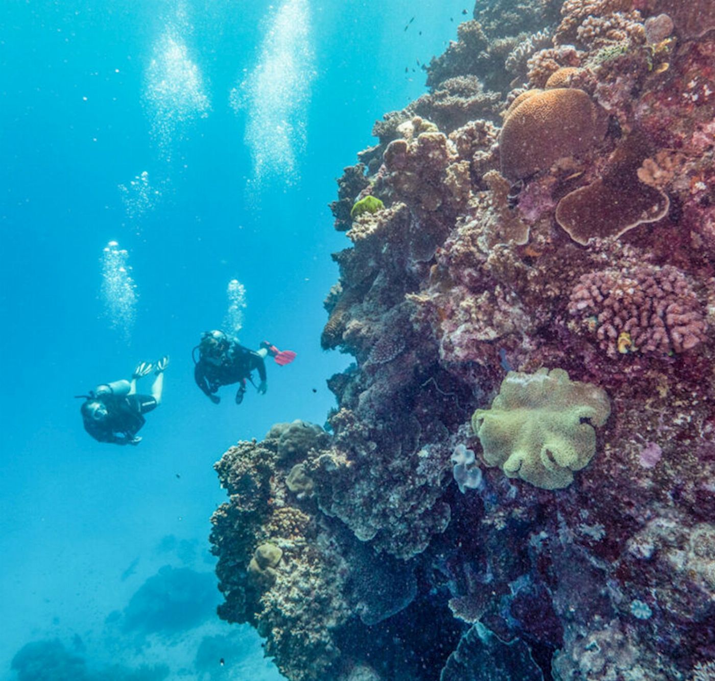 Tusa Reef Tours